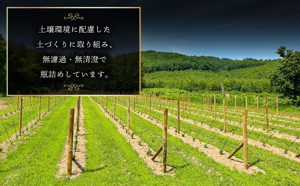 白ワインKamisato blanc2024/オレンジワイン山麓のアンバーPinot Gris2024