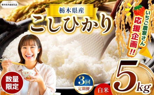【栃木県共通返礼品】【先行予約】【定期3回】数量 限定 訳あり 定期便 令和8年度 栃木県産 コシヒカリ 約 5kg | 数量限定 こしひかり 精米 白米 米 ごはん おいしい 密閉パック ふるさと納税 那珂川町 栃木県