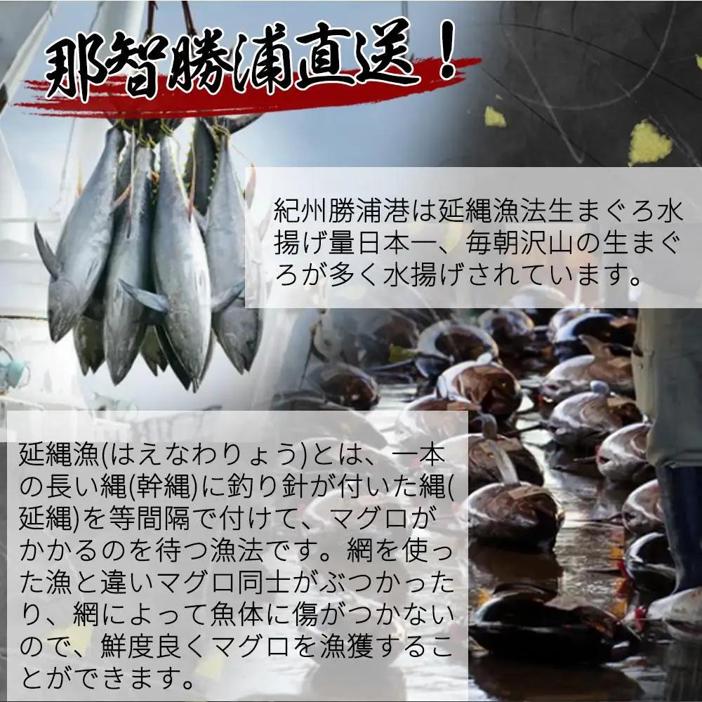 天然まぐろたたき(ネギトロ風) 500g【UT102】ネギトロ