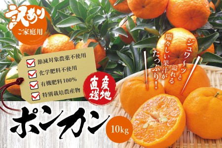 【訳あり】くしもとポンカン 10kg S･Mサイズ混合 ご家庭用 先行予約【2026年1月上旬～2026年2月中旬頃順次発送】（お届け日指定不可） 訳あり みかん 柑橘 ぽんかん フルーツ ミカン オレンジ 限定【sse207】