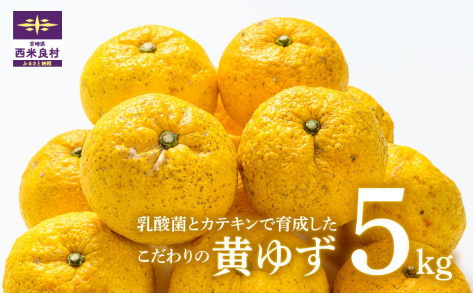 
                  【2024年11月より順次発送】黄柚子 5kg　有機栽培　かんきつ　柑橘　ユズ　ゆず　宮崎県　西米良村
                