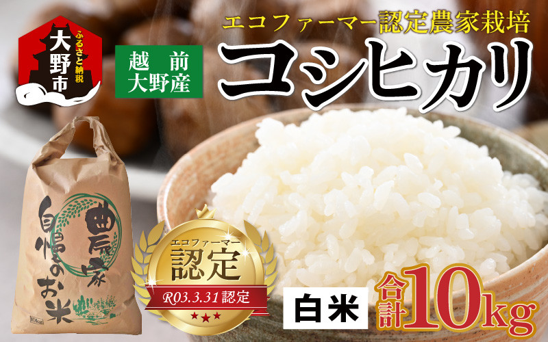 
            【先行予約】【令和7年産 新米】越前大野産 エコファーマー認定農家栽培 コシヒカリ10kg（白米） 【2025年10月より順次お届け】
          