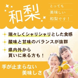 SA2919　刈屋梨 和梨 (品種おまかせ)　約3kg