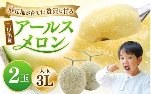 【先行予約】 三里浜アールスメロン 3L以上 × 2玉 【2026年9月上旬より順次発送】【メロン めろん フルーツ 期間限定 数量限定 旬 デザート 果物 くだもの 果実 青肉 糖度 甘い ジューシー お取り寄せ グルメ 産地直送】 [A-16522]