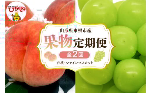 【2026年先行予約 全2回 定期便】東根市産 桃、シャインマスカット 果物定期便 （玉数、房数お任せ）　hi074-020