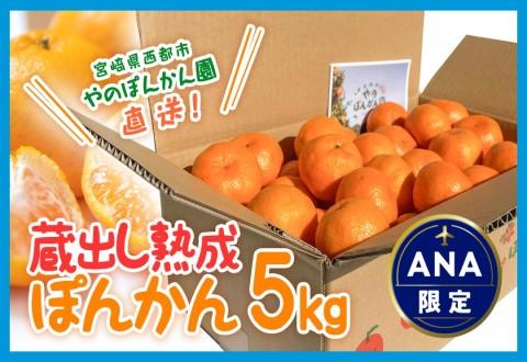 【ANA限定】【先行予約】＼数量限定／西都市産 蔵出し熟成ぽんかん 5kg　やのぽんかん園直送 ＜1-34＞