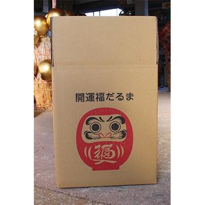ふるさと納税 榛東村 榛東　開運福だるま　8号(32cm) |  | 03