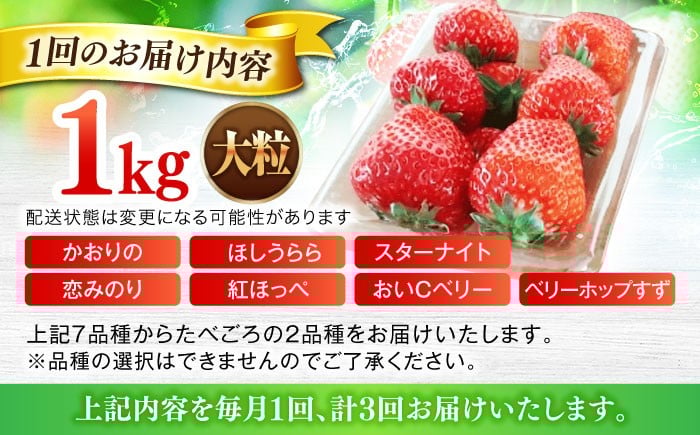 いちご イチゴ 苺 ストロベリー 果物 果実 フルーツ くだもの 岐阜県産 国産