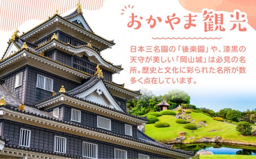 【クランベリー香る濃厚バターの逸品】モンテローザ 築港バターサンド（10個セット）×1セット｜手作り クッキーサンド 洋菓子 焼き菓子 バレンタイン ギフト 誕生日 お祝い 岡山県 岡山市