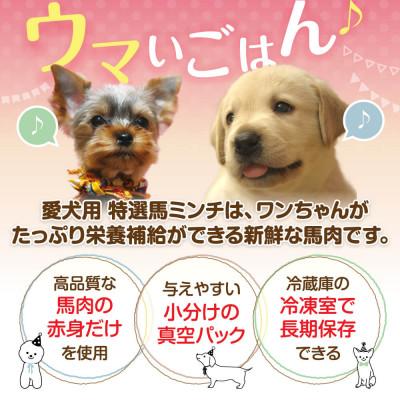 ふるさと納税 宇城市 特選馬ミンチ　8パックセット　大阪馬肉屋　ワンちゃん大喜び |  | 01