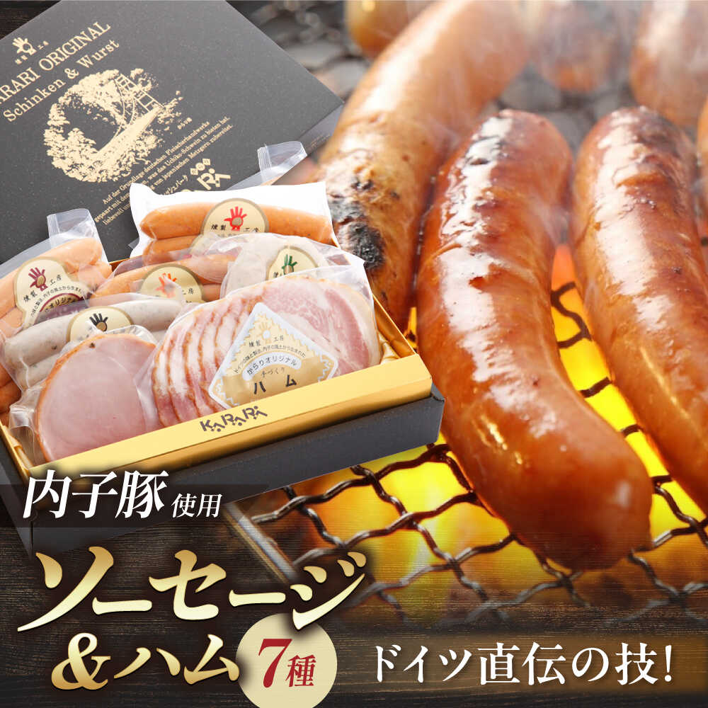 【ふるさと納税】内子からり直送！ドイツ仕込み内子豚ハムソーセージセット2 ／ ソーセージ そーせーじ ハム はむ セット BBQ 焼肉 焼き肉 晩酌 送料無料 おつまみ 人気 おすすめ 贈答 ギフト プレゼント【株式会社内子フレッシュパークからり】[BKAD003] 25000 25000円