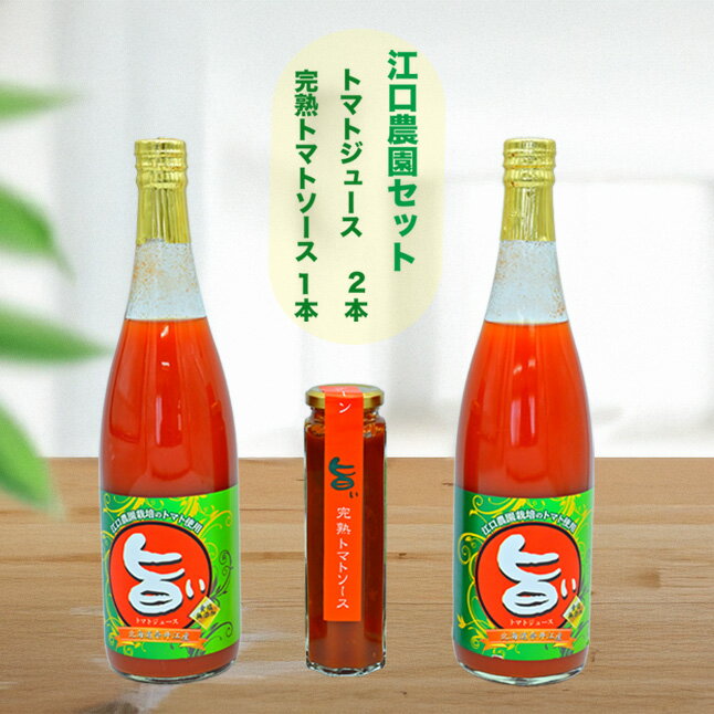 【ふるさと納税】江口農園　江口農園セット