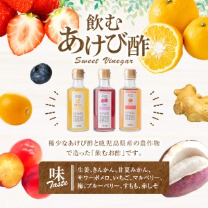 s255 さつまの四季(計7品)希少なあけび酢を使用した飲むあけび酢と季節のジャムセット！【薩摩ビネガー工房】