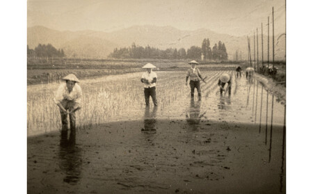 【定期便】【令和7年産】厳選こだわり南魚沼産コシヒカリ「こまがた農園のお米」 4kg(2kg×2袋)×9回