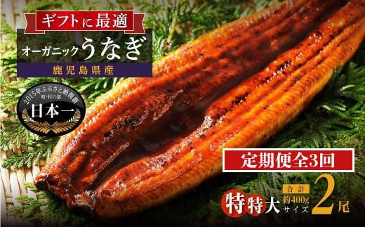 【定期便】泰正オーガニックうなぎ蒲焼　特特大2尾合計400g以上（全3回）合計6尾