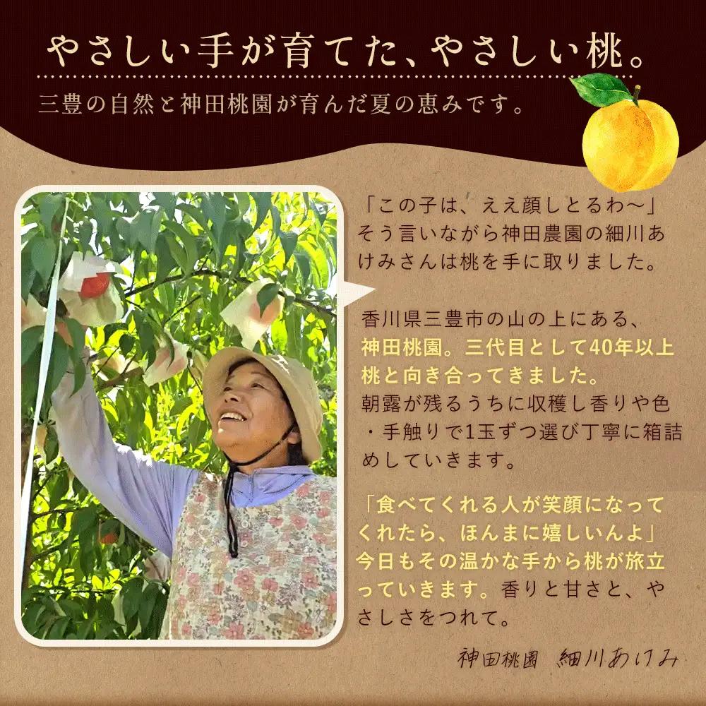 【ふるさと納税】 桃 産地直送 「神田桃園の黄桃」 約3kg  [ フルーツ 名産品 桃 もも モモ 黄桃 果物 くだもの お取り寄せグルメ 三豊市 20000 20, 返礼品 神田桃園 ] ※配送不