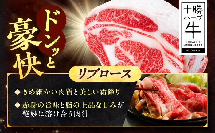 牛肉 牛 肉 にく ニク リブ ロース ステーキ ステーキ肉 ブロック肉 国産 
