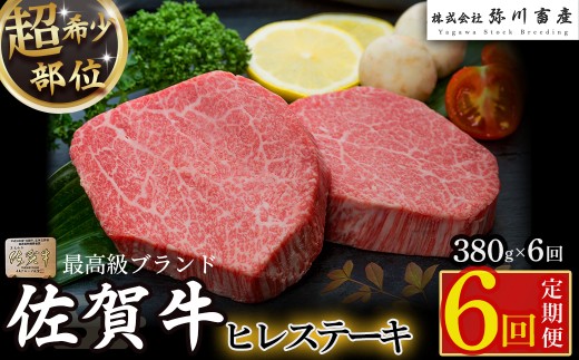 VD1x1 佐賀牛ヒレステーキ定期便6回  ヒレ ステーキ 定期便 6回 国産牛 和牛 ブランド牛 牛肉 肉 佐賀牛 奇数月 高級 人気 おすすめ 佐賀県 太良町