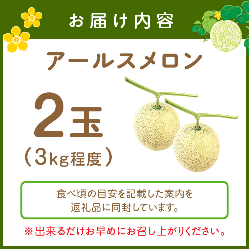 斎藤農園のアールスメロン（マスクメロン）2玉3kg程度≪先行予約2027年6月下旬以降発送分≫【0249-5】