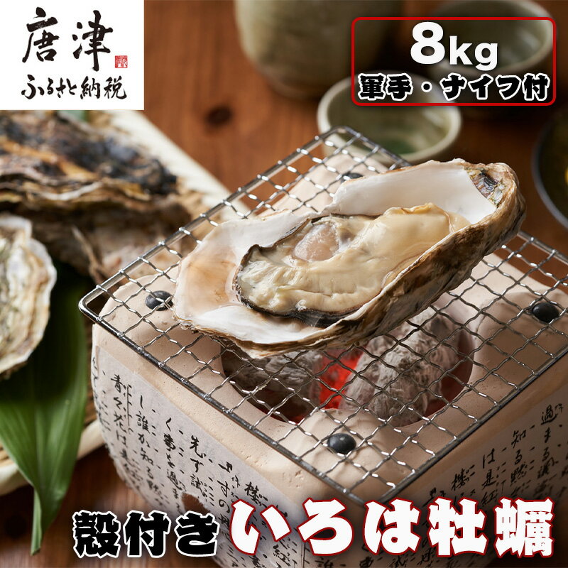 【ふるさと納税】『先行予約』【12月中旬より順次発送】唐津産 殻付きいろは牡蠣 8kg(軍手・ナイフ付)期間限定 産地直送 殻付き 牡蠣 カキ 殻付き牡蠣 佐賀県 海鮮 BBQ 加熱用 お取り寄せ 贈り物 冬ギフト ギフト