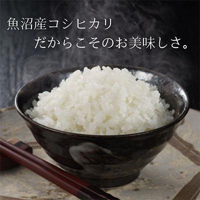 ふるさと納税 魚沼市 【毎月定期便】お米アドバイザー厳選!魚沼産コシヒカリ特別栽培米 精米計10kg(5kg×2)全2回 |  | 02