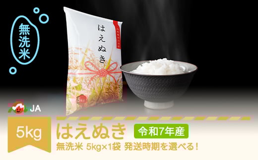 【先行予約】新米 米 5kg はえぬき 無洗米 令和7年産 2025年12月中旬 ja-hamxa5-12b