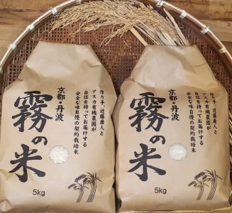 亀岡盆地『霧の米』 白米 5kg×2袋 計10kg＜アスカ有機農園＞《令和6年産産 特別栽培米 コシヒカリ 米》※2024年10月以降順次発送予定京都丹波産 特Ａ 大人気 人気 国産 京都府産 白米 丹波産