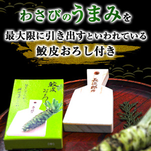 伊豆わさび食品直送！とれたてわさび～池セット～鮫皮おろし付