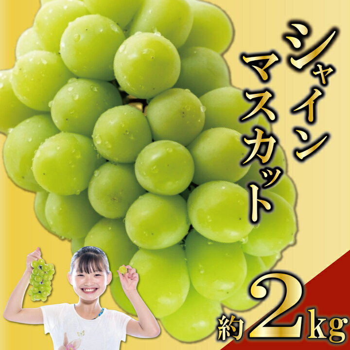 【ふるさと納税】 先行予約 シャインマスカット 2kg (2-5房) ぶどう 葡萄 ブドウ フルーツ 果物 くだもの 果実 フルーツ 旬 デザート アイス シャーベット ジェラート ふるさと納税 ゼリー ジュース ふるさと納税シャインマスカット ふるさと納税ぶどう ギフト 贈答
