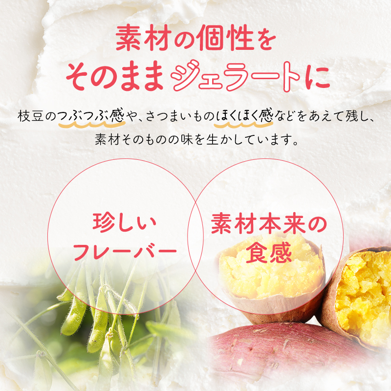 アイス みんなのジェラート 12個 詰め合わせ セット 岩沼みんなの家 ジェラート お米 ずんだ さつまいも とうもろこし かぼちゃ 食べ比べ アイスクリーム 氷菓 スイーツ デザート おやつ ヘルシー 東北 震災 支援 冷凍 冷凍配送 宮城 宮城県 岩沼市