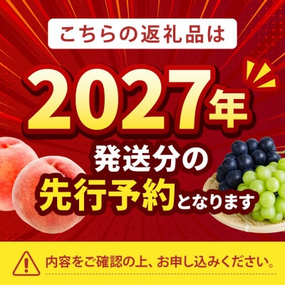 2027年発送先行受付【桃界の横綱キング白鳳】人気品種指定ギフト5年連続TV出演話題ブランド桃【配送不可地域：離島・北海道・沖縄県・中国・四国・九州】