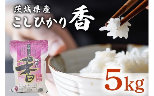 
                  094【令和7年産】茨城県産 こしひかり香 5kg【石崎商店】
                