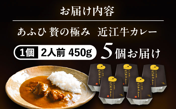 -あふひ 贅の極み- 近江牛カレー レトルト 2人前×5個セット ビーフカレー レトルトカレー 保存食 恵那市 / テンポイント [AUEU018]