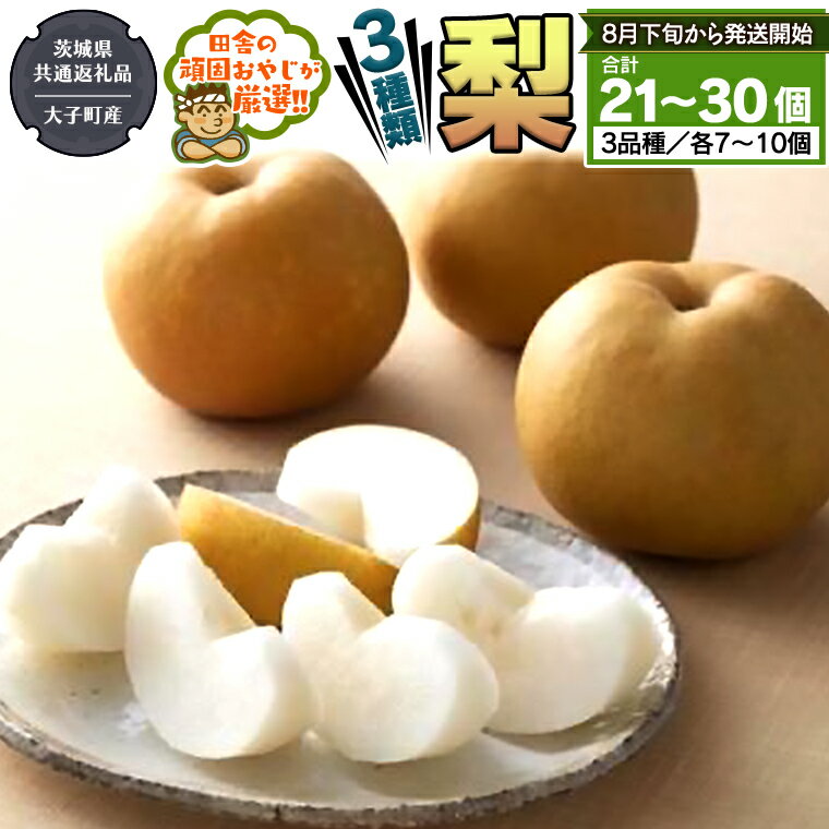 【ふるさと納税】梨 3種 セット 【8月下旬から発送開始】 （茨城県共通返礼品 [梨]：大子町産） 田舎の頑固おやじが厳選！ なし 果物 フルーツ 美味しい