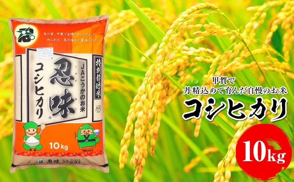 
                  コシヒカリ 10kg 甲賀で丹精込めて育んだ自慢のお米
                