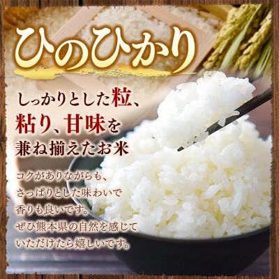 ふるさと納税 和水町 【令和7年産】熊本県産 ひのひかり 無洗米 10kg |  | 01