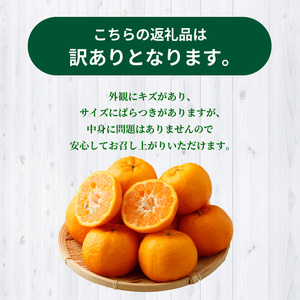 S040-029_【訳あり】農家の手摘み　下浦100年ポンカン　家庭用　5kg