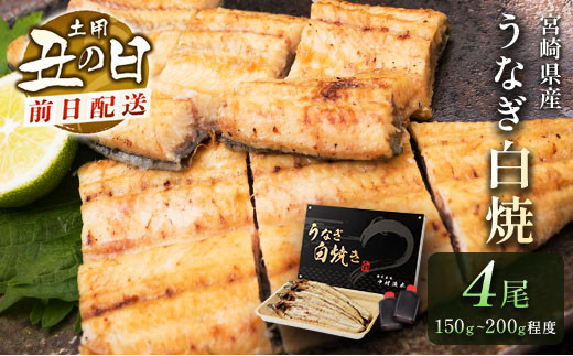 
前日配送予約［土用丑の日］うなぎ白焼きギフト 4尾（150～200g/1尾あたり）宮崎県産鰻 蒲焼きタレ付（50ml×2本）【N46】
