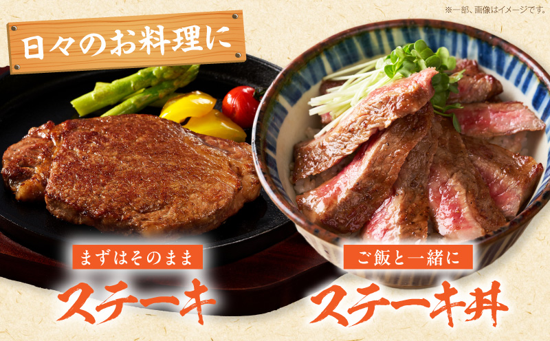 宮崎牛ヒレステーキ4枚600g 国産 和牛 ブランド牛 牛肉 ヒレステーキ ヒレ肉 フィレ肉 ステーキ肉 希少部位 ギフト 冷凍_M389-014-03