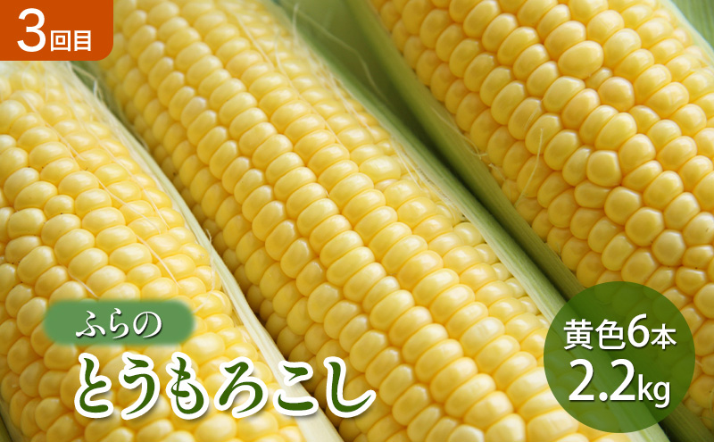 【2026年春～夏発送】[年3回定期便] 新鮮な旬の味覚 爽風の