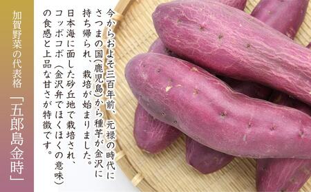 JA金沢市 加賀野菜　五郎島金時 秀品・5kg