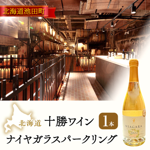 十勝ワイン ナイヤガラスパークリング 1本