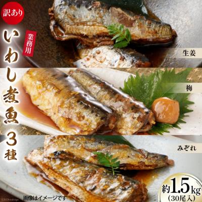 ふるさと納税 気仙沼市 訳あり 業務用 いわし煮魚 3種×10尾 計30尾入 約1.5kg 簡易包装 20565562 ◎