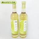 【ふるさと納税】梅みやび（梅シロップ）500ml×2本セット　【 ウメ うめ シロップ 果実シロップ 希釈 ドリンク 飲み物 町のおすすめ返礼品 】