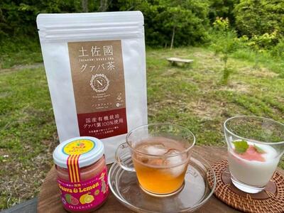 有機グァバ農園の完熟フルーツソースと土佐國グァバ茶セット
