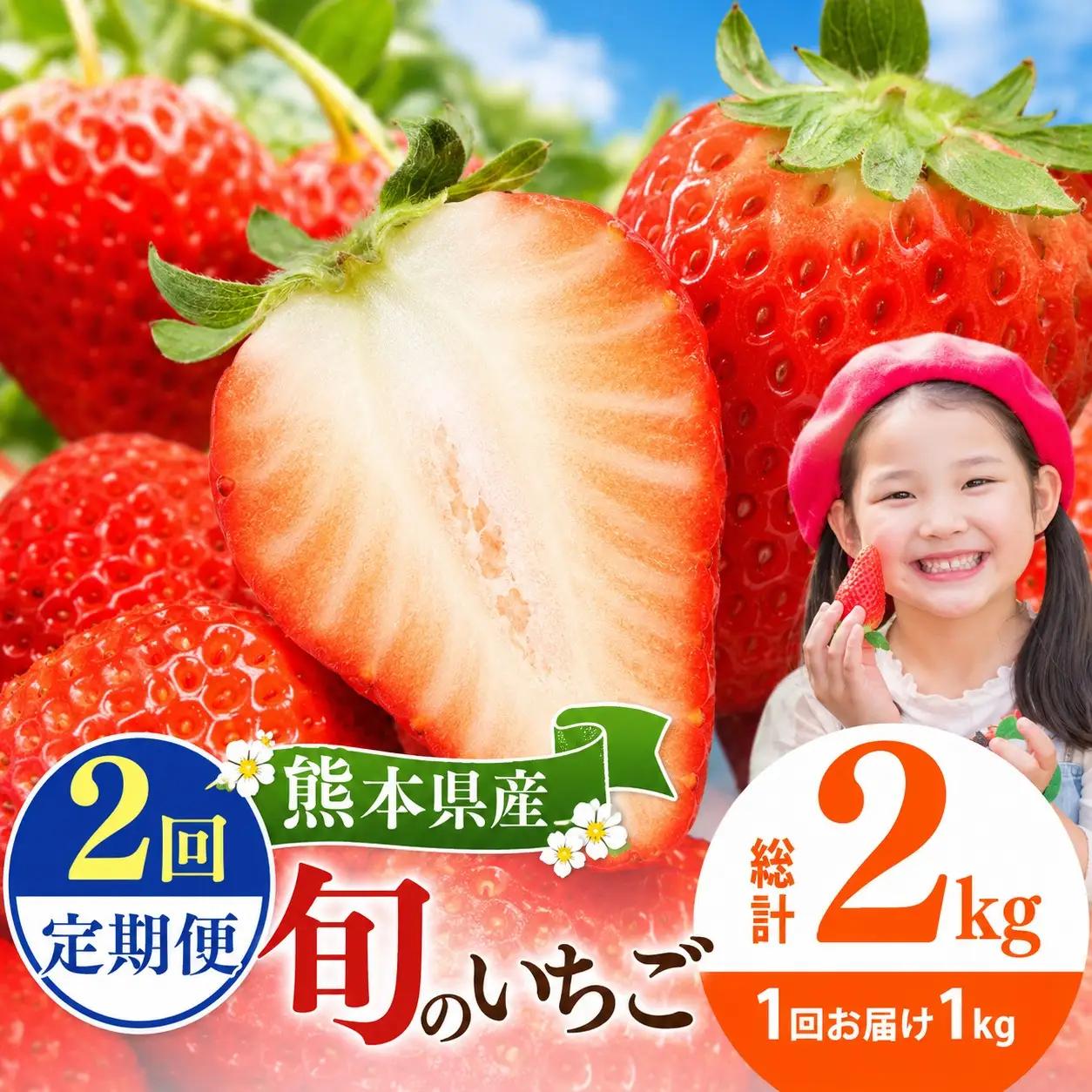 【定期便2回】 旬のいちご 約1000g