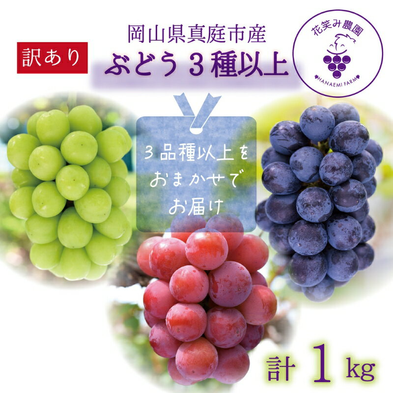 【ふるさと納税】 岡山　花笑み農園のブドウ『訳ありMIX3種以上』1kg W3M-1 hana18-1【2025年9月中旬～順次発送】【配送不可地域：離島】ぶどう 葡萄 真庭 国産 産地直送 シャインマスカット ピオーネ オーロラブラック 瀬戸ジャイアンツ 食べ比べ フルーツ 果物【1393982】