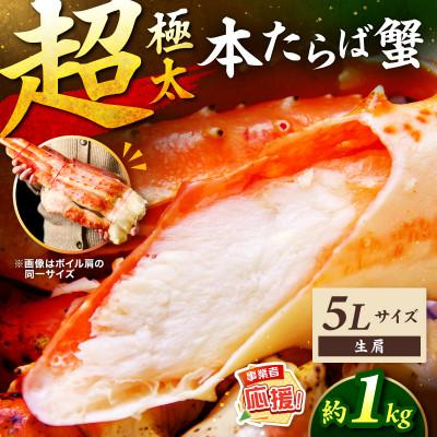 ふるさと納税 泉南市 【極太5Lサイズ】生たらば蟹 生肩 約1kg ふるさと納税3.0