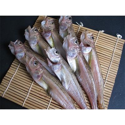ふるさと納税 宮津市 ハタハタ(特々大)　干物　一夜干し　450g×2箱