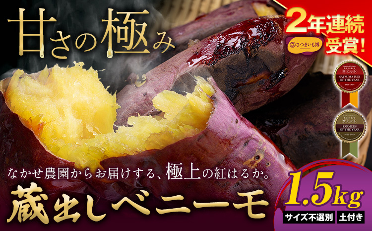さつまいも 芋 熊本 県 大津 町産 なかせ農園 蔵出しベニーモ 選べる 約 1.5kg (大中小サイズ不揃い)《10月末-12月末頃出荷予定》 さつま いも さつま芋 芋 紅 はるか スイート ポテト 干し芋にも 特産品 SDGs 中瀬農園